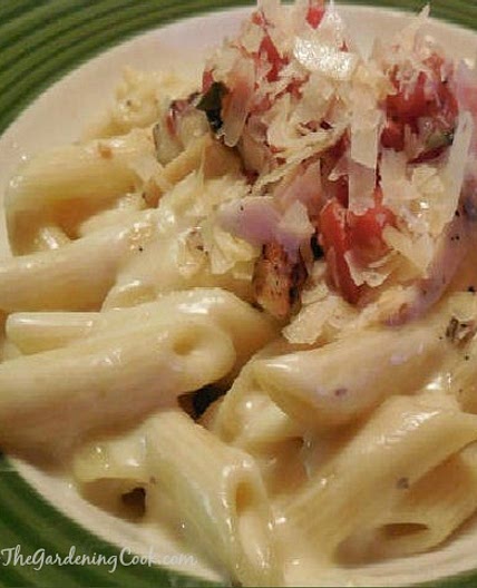 3 Cheese Chicken Penne with Alfredo Sauce