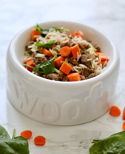 Homemade Dog Food