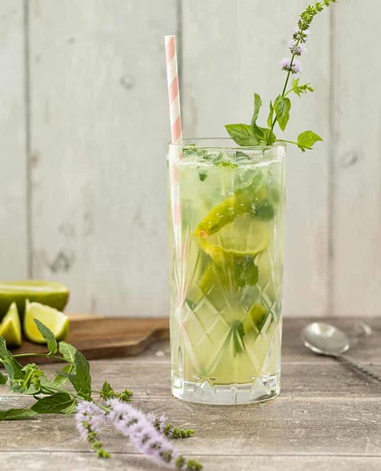 Healthy Mojito Mocktail
