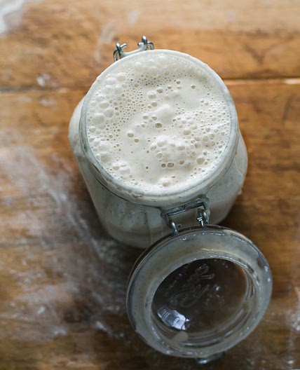 Beginner Sourdough Starter Recipe