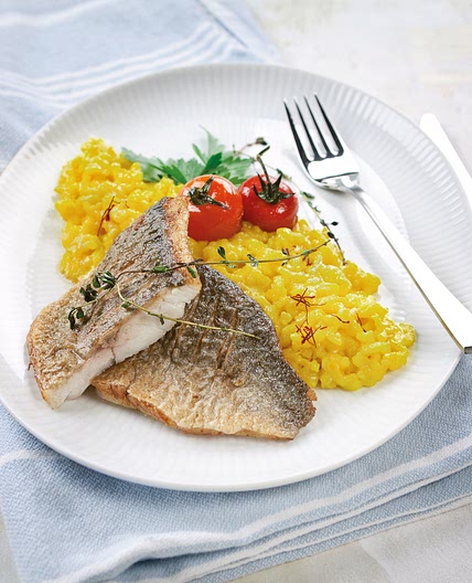 Gebratene Goldbrasse auf Safranrisotto
