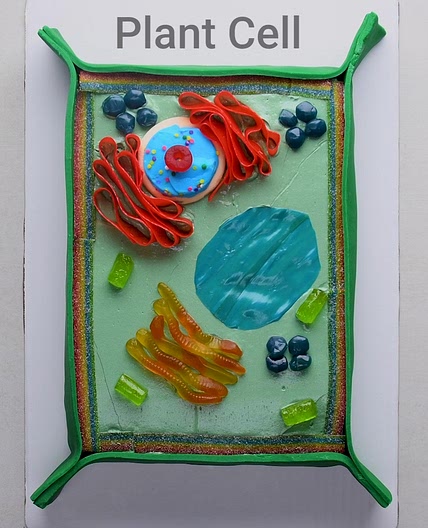 Plant Cell Cake