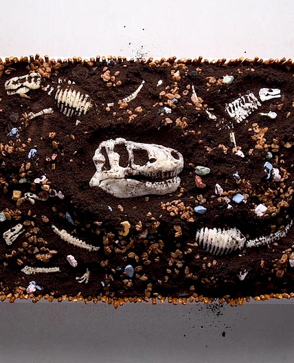 Dig Your Own Fossil Cake