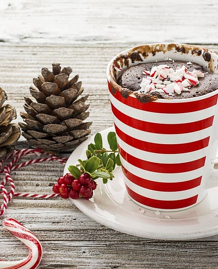 The Perfect Chocolate Mug Cake Holiday Gift