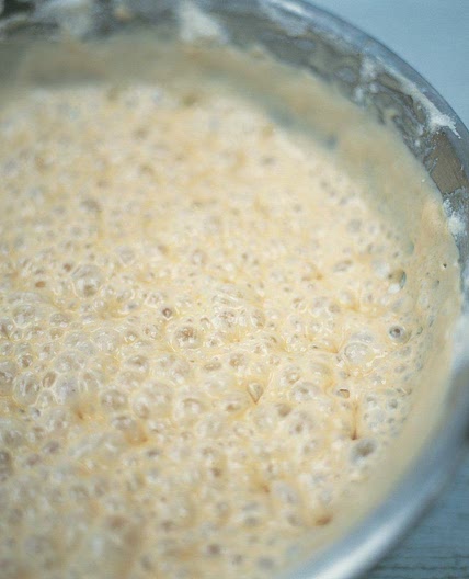 Basic bread recipe