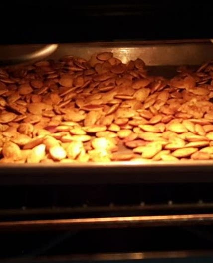 Pumpkin seeds