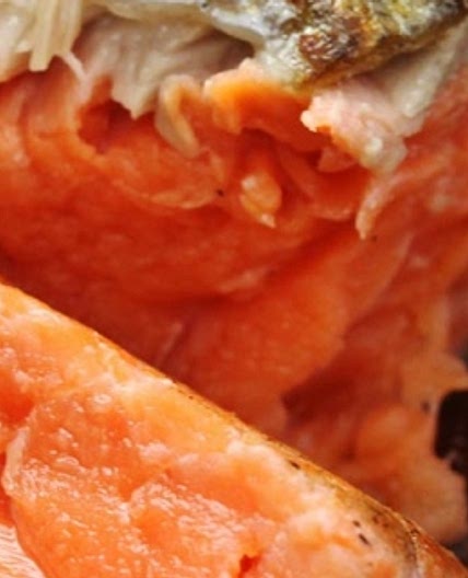 Sous Vide Salmon