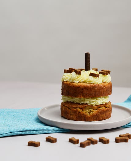 Dog birthday cake
