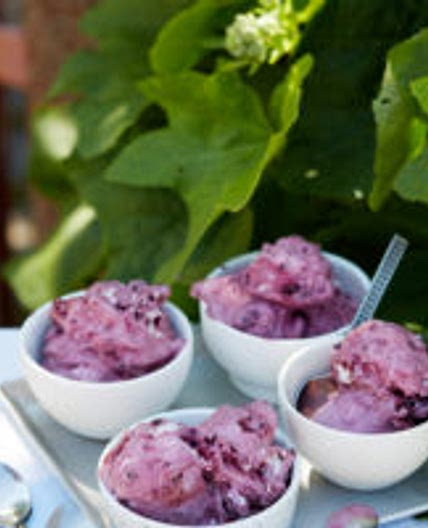 Low-carb blueberry ice cream
