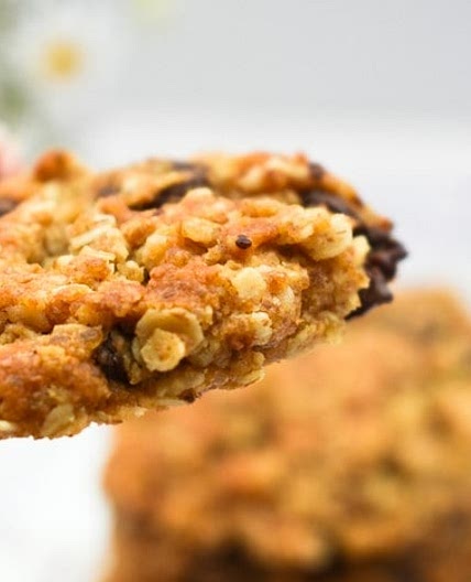 Chocolate Chip Oat Cookies