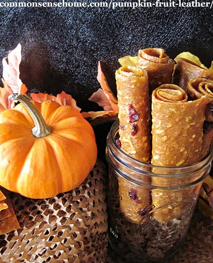 Pumpkin Leather - Tastes Like Portable Pumpkin Pie