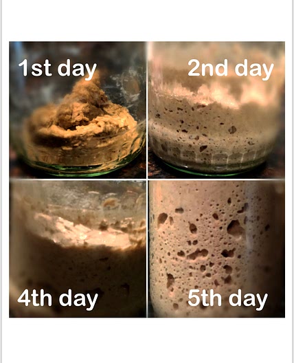 Sourdough Starter Recipe