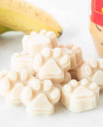Yogurt Peanut Butter Banana Dog Treats Recipe