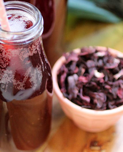 Hibiscus Tea Kombucha