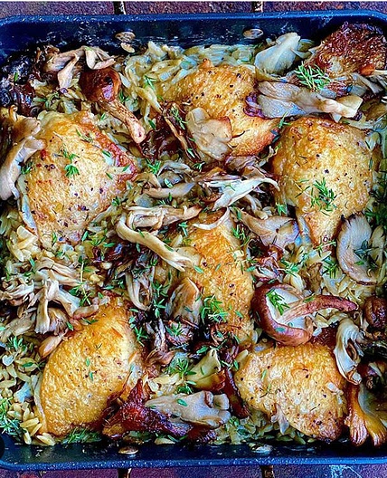 Chicken mushroom orzo traybake 