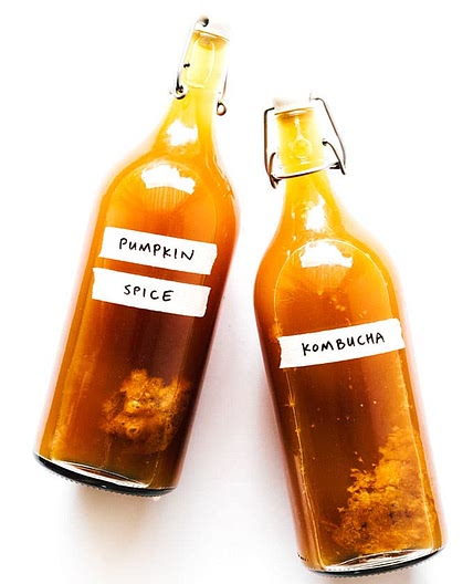 Pumpkin Spice Kombucha