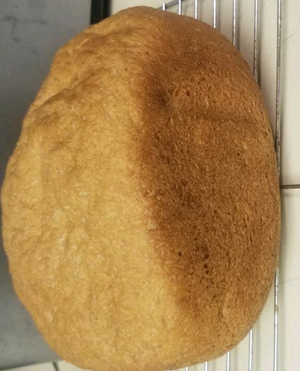 Belgian Molasses Bread