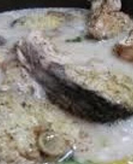 A BELIZEAN RECIPE - ANOTHER FISH SERRE RECIPE