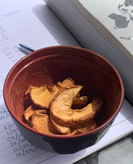 Dried apple slices with cinnamon dust