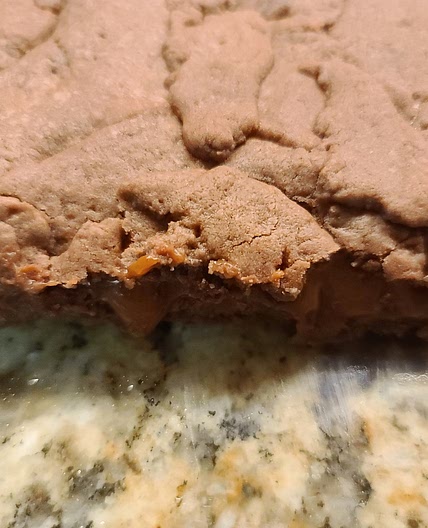 Chocolate Caramel Brownies