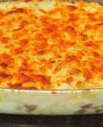 Chicken pasta with white sauce