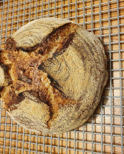 18-hour pro baker's white sourdough