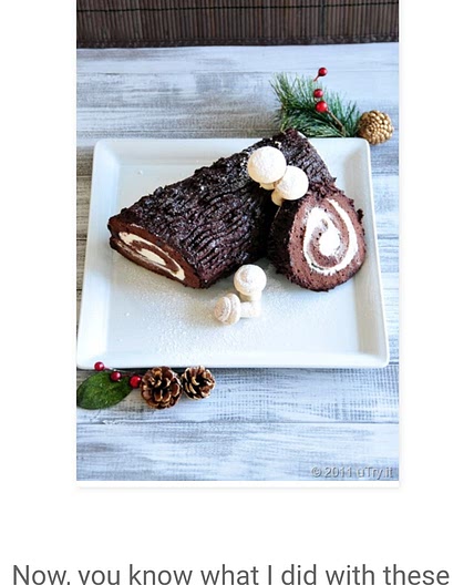 Busche De Noel