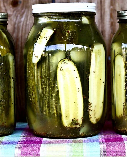 Homemade Dill Pickles