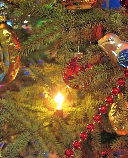 Rouladen, a Christmas Eve Tradition | Kitchen Frau