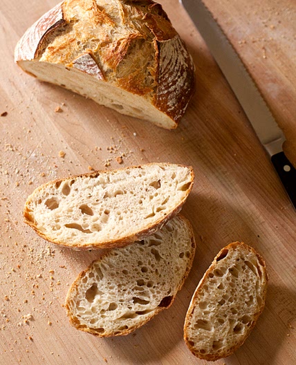 The New Artisan Bread in Five Minutes a Day Master Recipe! (Back to Basics updated) - Artisan Bread in Five Minutes a Day