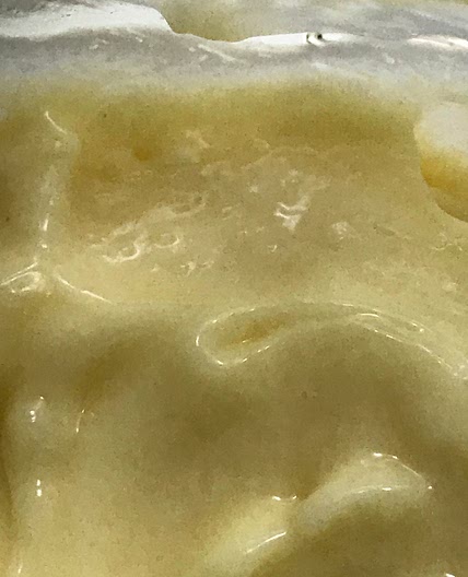 Fermentation Mayonnaise 