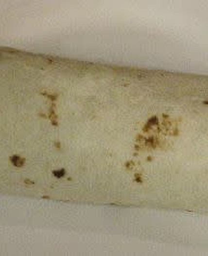Chipotle southwest ramen burrito 