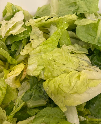Lettuce Salad