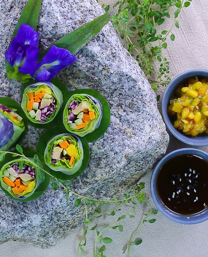 Vietnamese Rice Paper Rolls