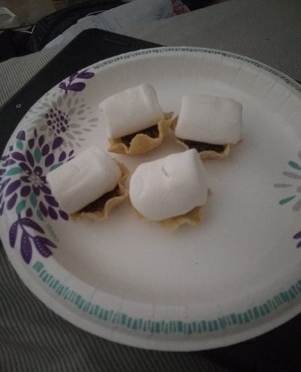 Vegan Microwave S'mores Bites