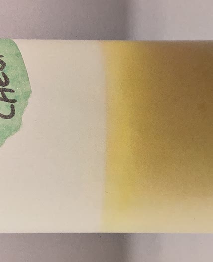 Yellow Ceaser Dressing