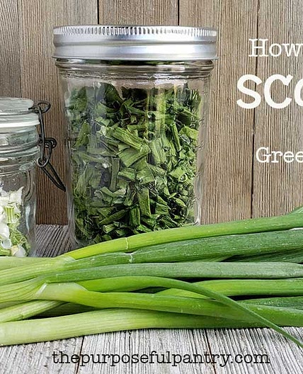 How to Dehydrate Scallions or Green Onions