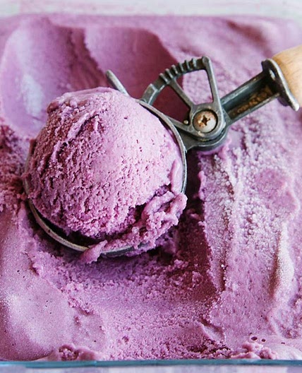 Blueberry Coconut Ice Cream