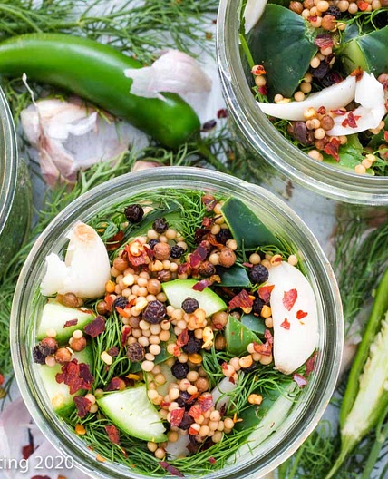 Spicy Refrigerator Dill Pickles