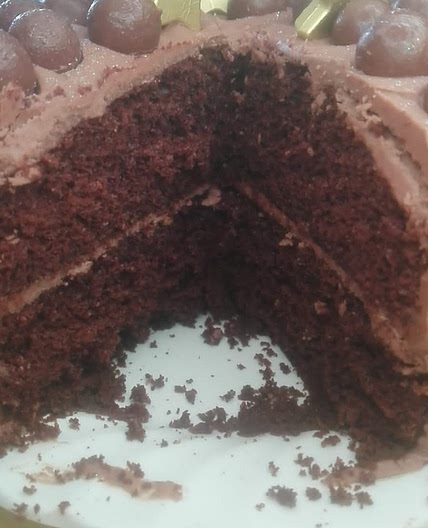 Sunflower oil cake