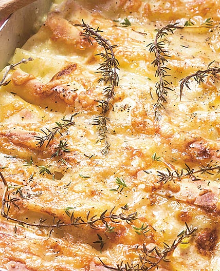 Cannelloni mit Wirz