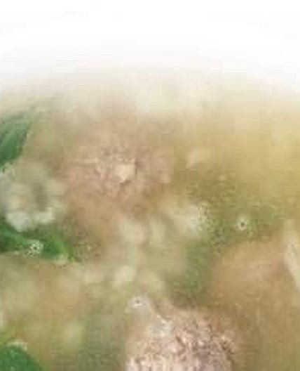 Italian Wedding Soup