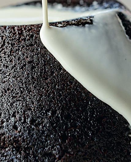 Milk Stout and Chocolate Steamed Pudding