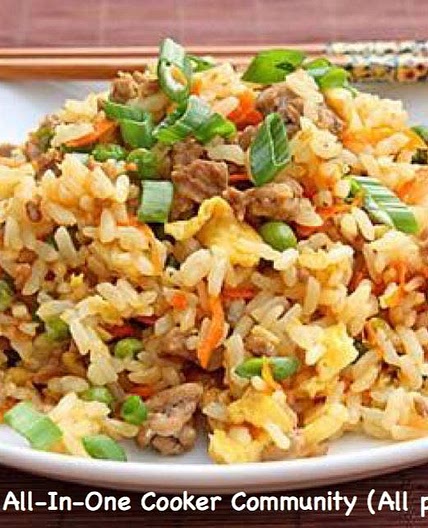 Laraine's Fried Rice AIO