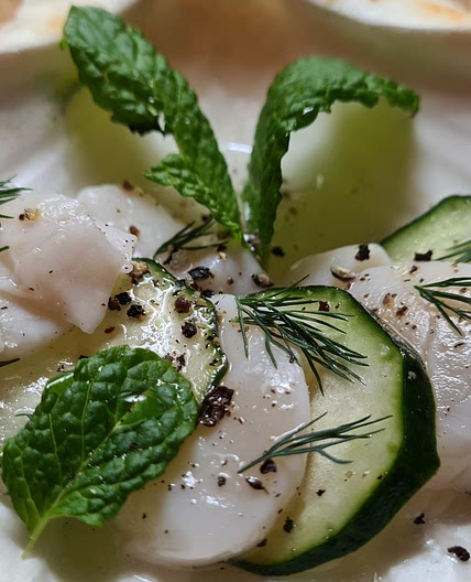 Icelandic Scallop Ceviche