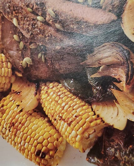 Southwestern Steak with Corn and Chiles