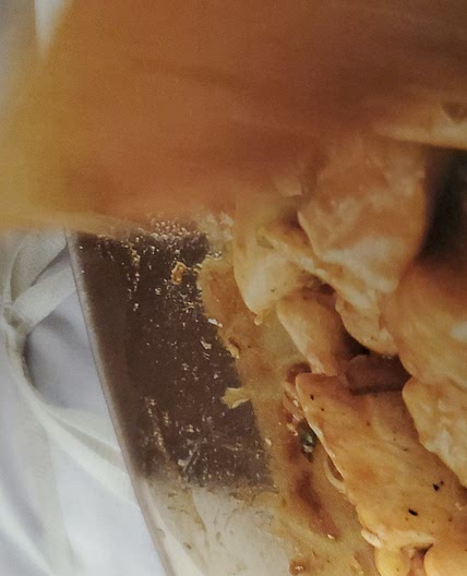 Chicken in Orange Sauce