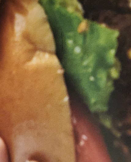 Southwestern Vegetarian Black Bean Burgers