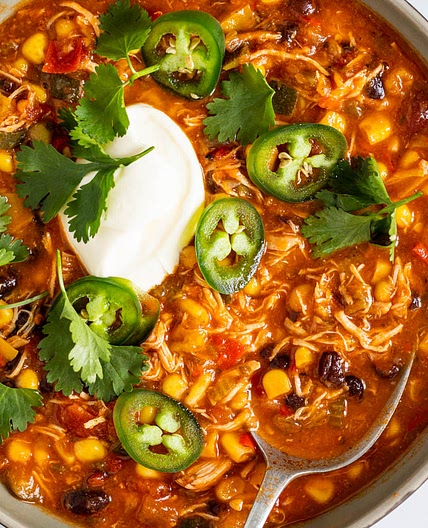 Instant Pot Spicy Chicken Black Bean Soup