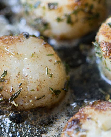 Seared Scallops with Emerald City Seasoning